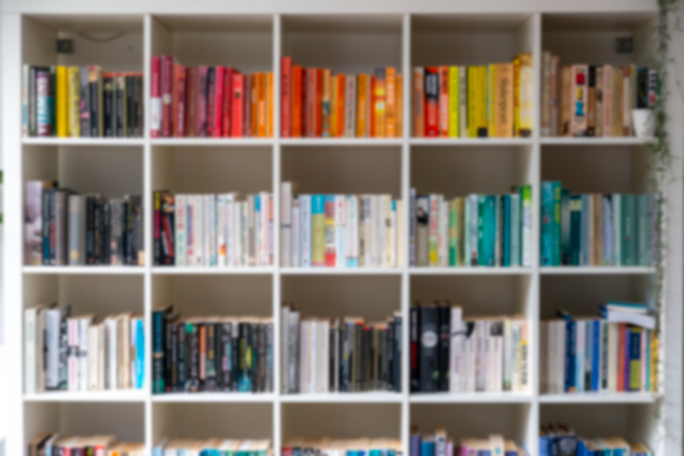 Blurred image of white wooden bookcase filled with books